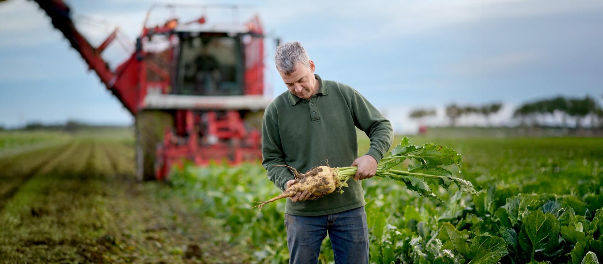 Landwirtschaft